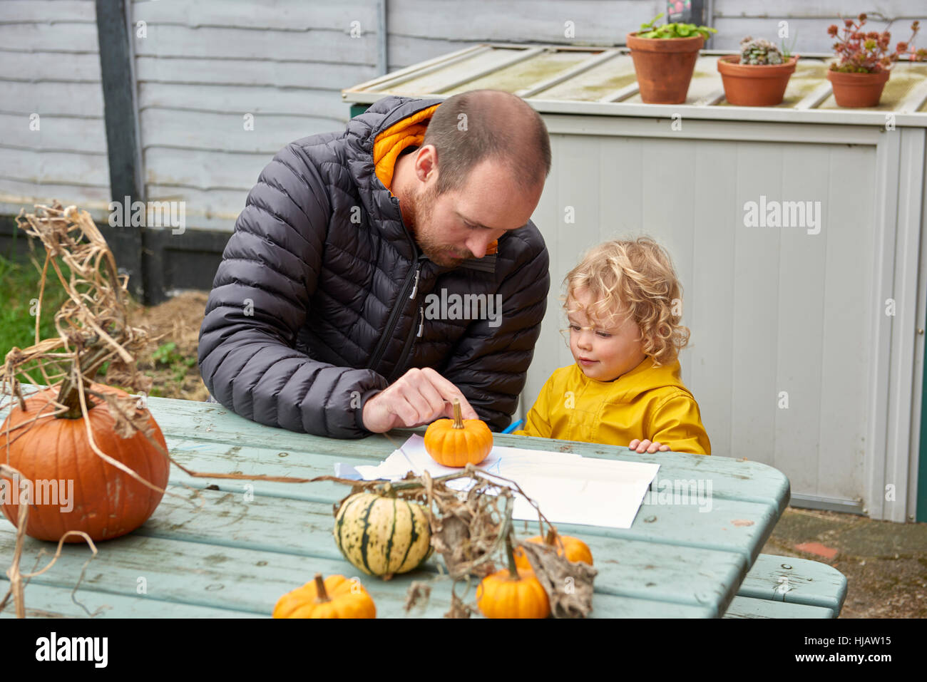 Mid adult man and toddler daughter looking at pumpkin at farm picnic table Stock Photo