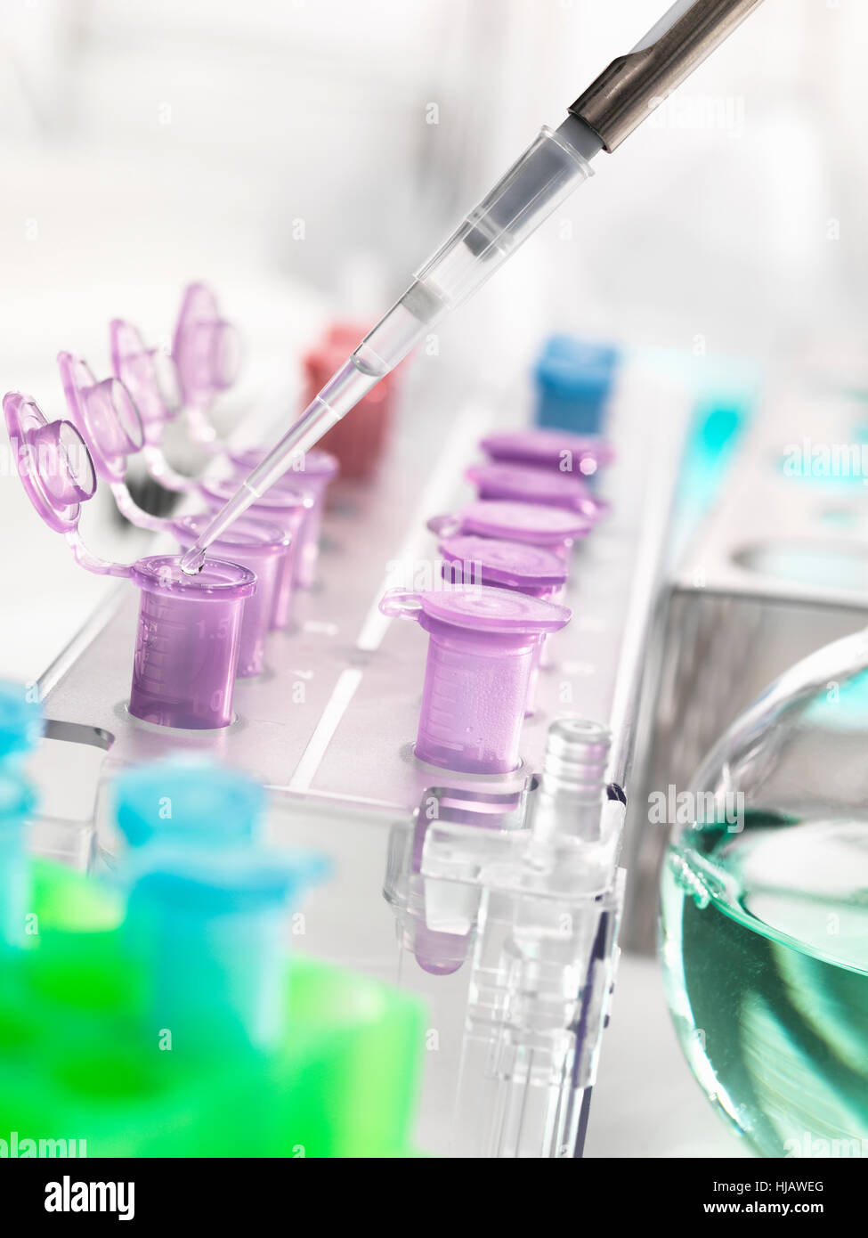 Pipetting samples into microcentrifuge tubes during an experiment in ...