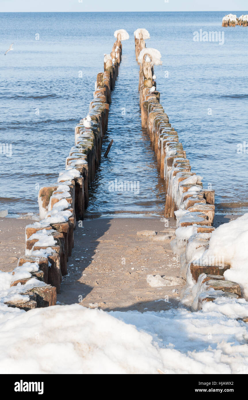 winter, cold, water, baltic sea, salt water, sea, ocean, ice, frozen, stages, Stock Photo