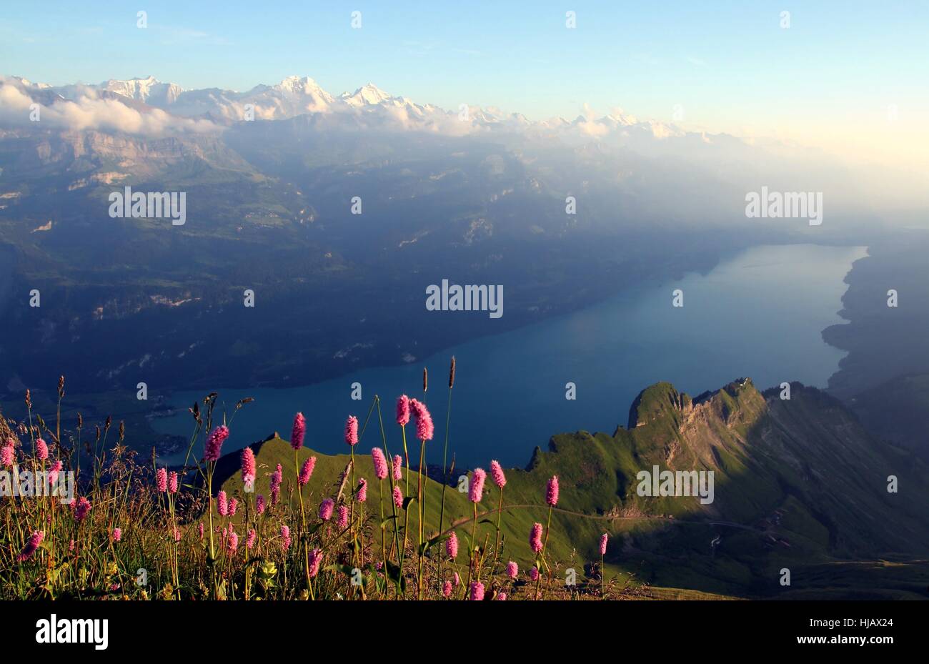 view from the brienzer rothorn Stock Photo - Alamy