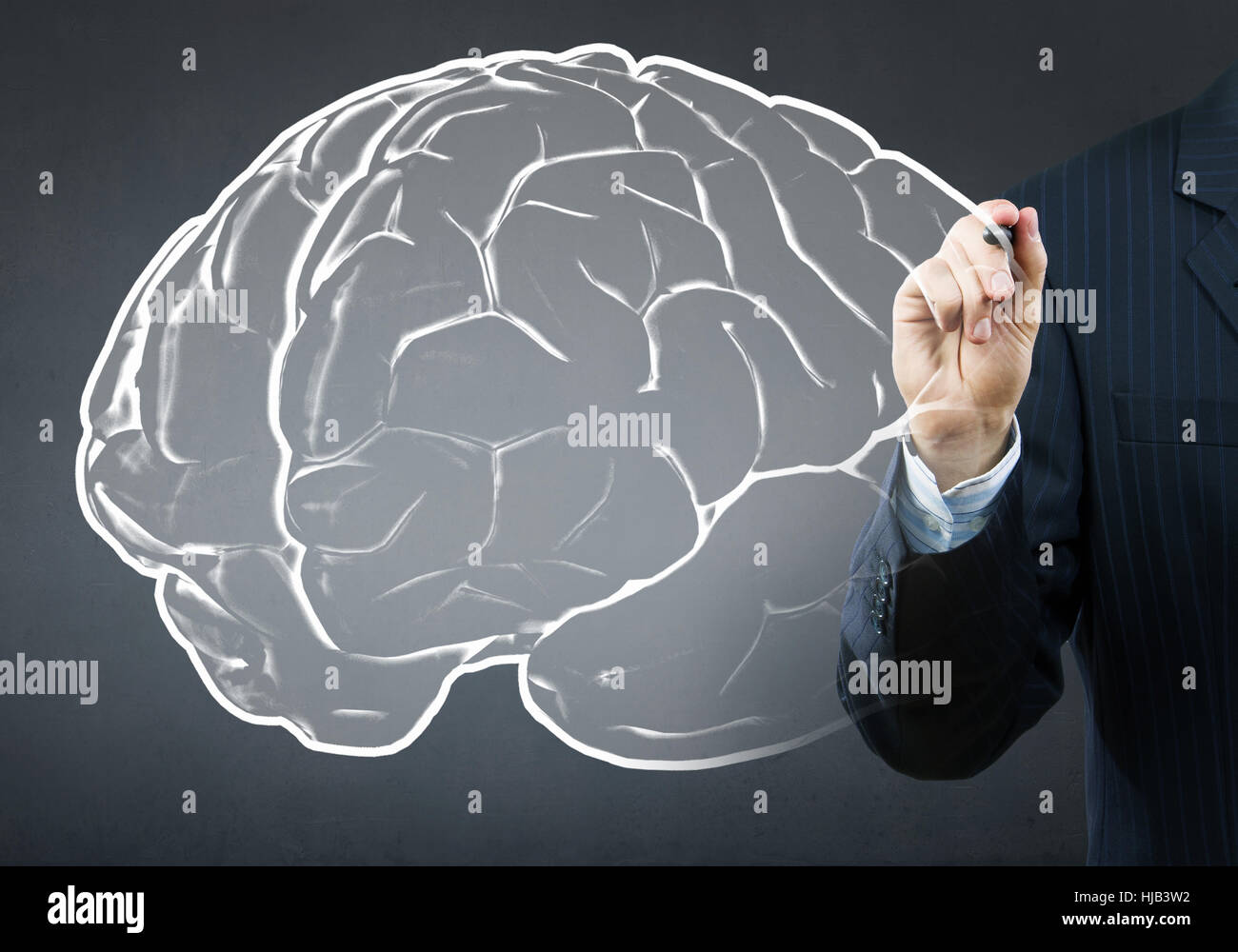 Close up of businessman drawing human brain on screen Stock Photo - Alamy