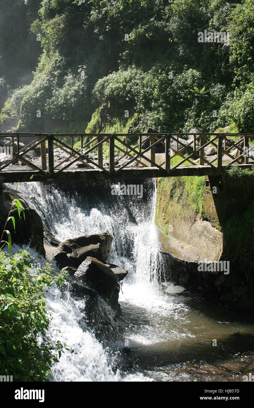 tree, bridge, rock, waterfall, outdoor, rapids, river, water, nature ...