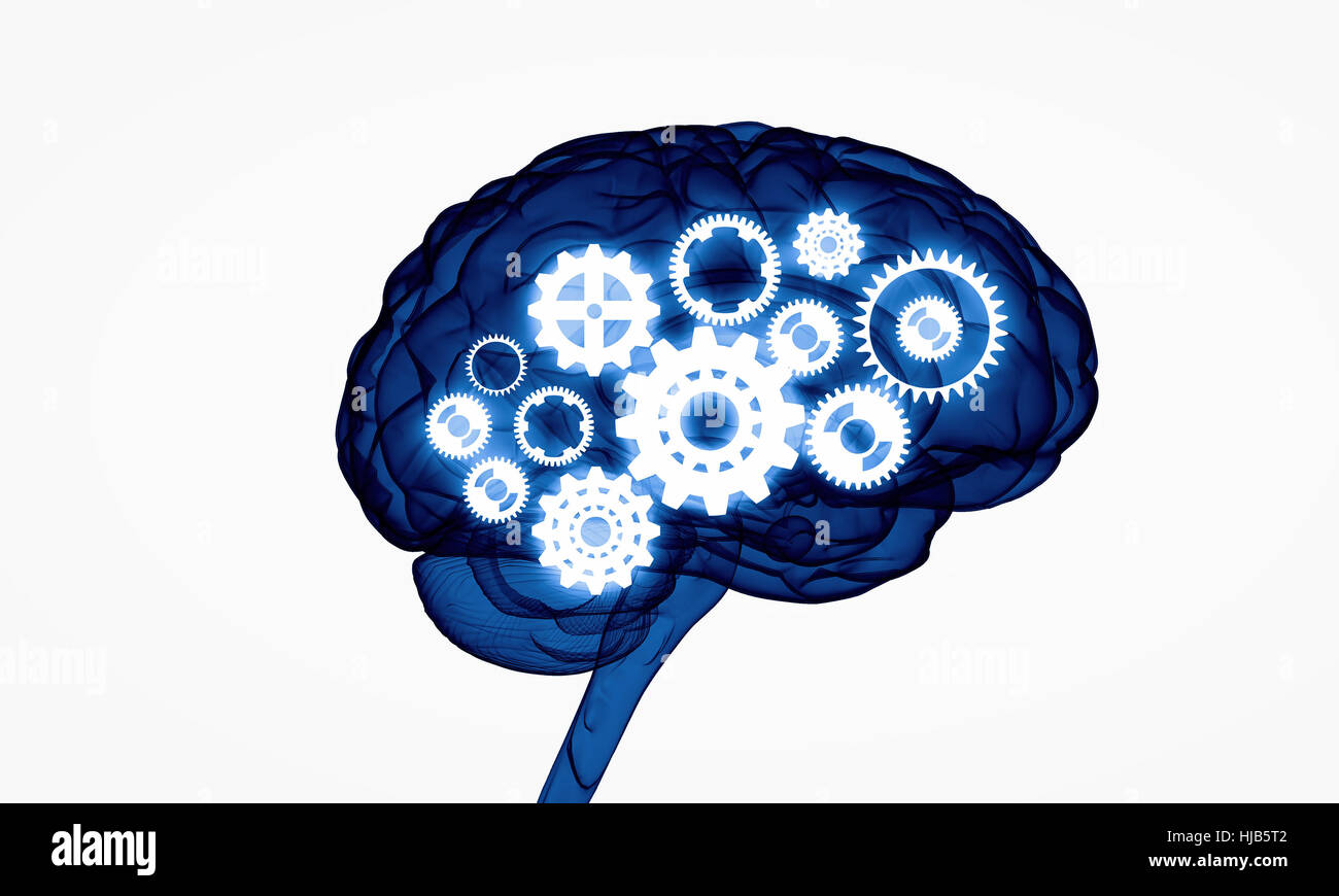 Concept of human intelligence with human brain on white digital background Stock Photo
