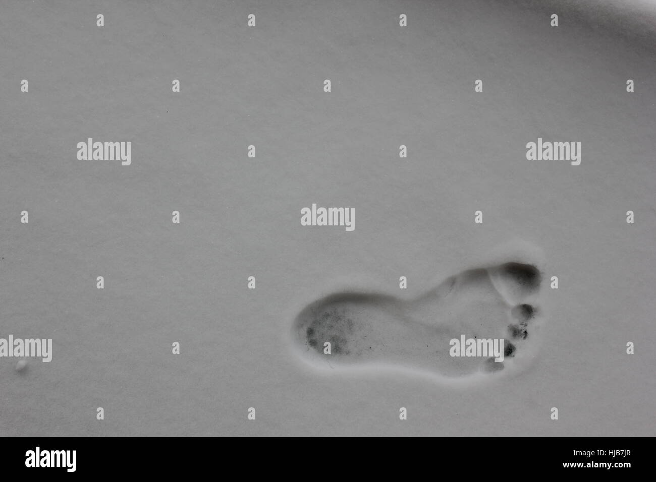 foot, copy, perishable, occasionally, tracks, footprints, footmarks ...