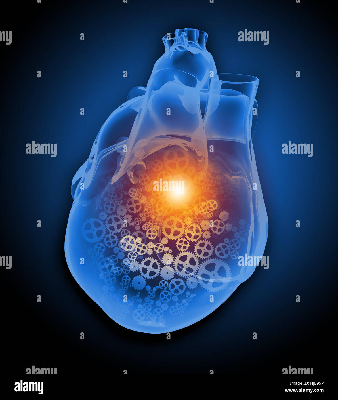 Human heart beat hi-res stock photography and images - Alamy