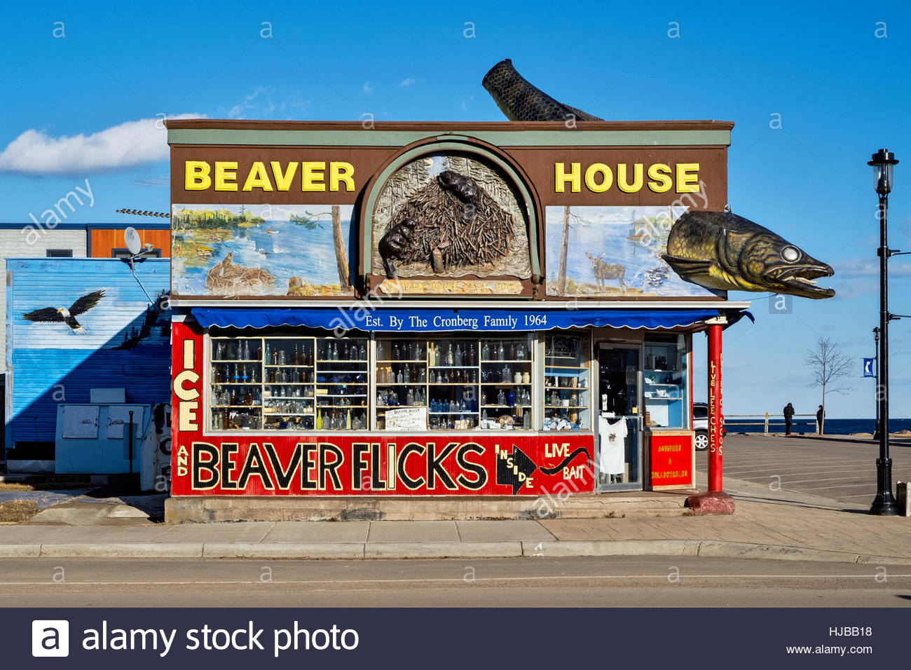 minnesota bait and tackle