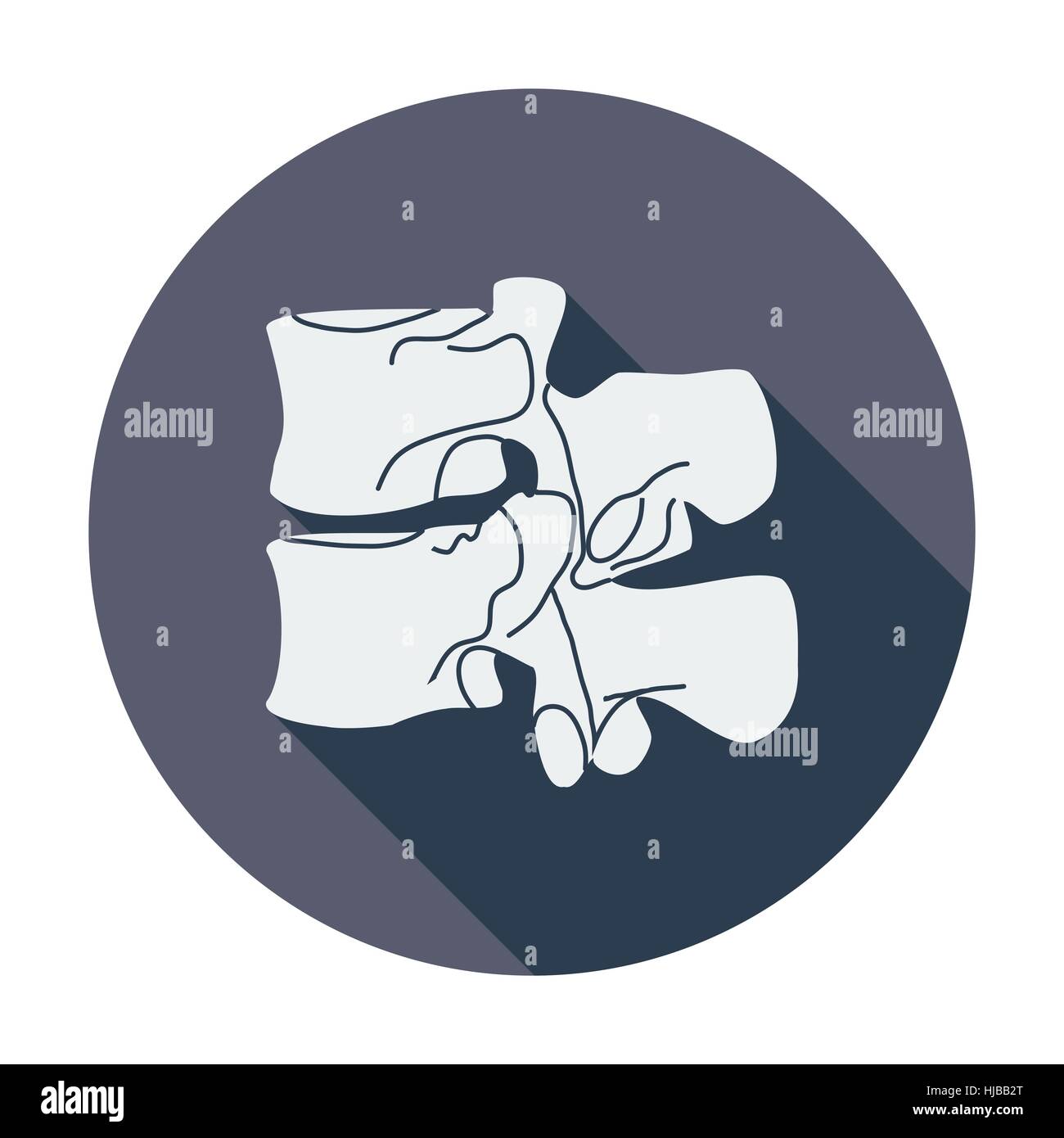 Anatomy spine. Single flat color icon. Vector illustration Stock Vector ...