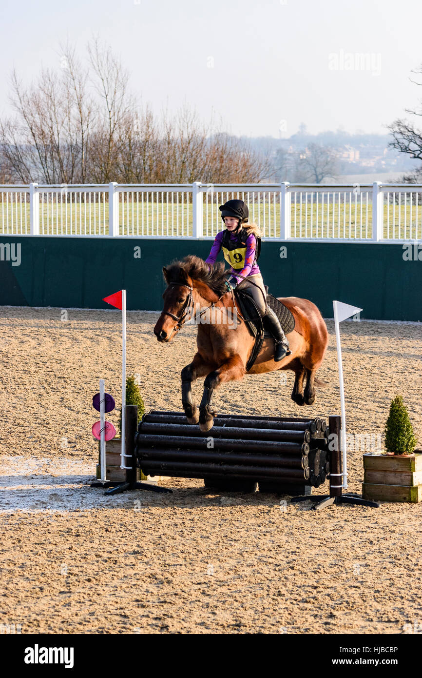 Horse jumping over fence hires stock photography and images Alamy