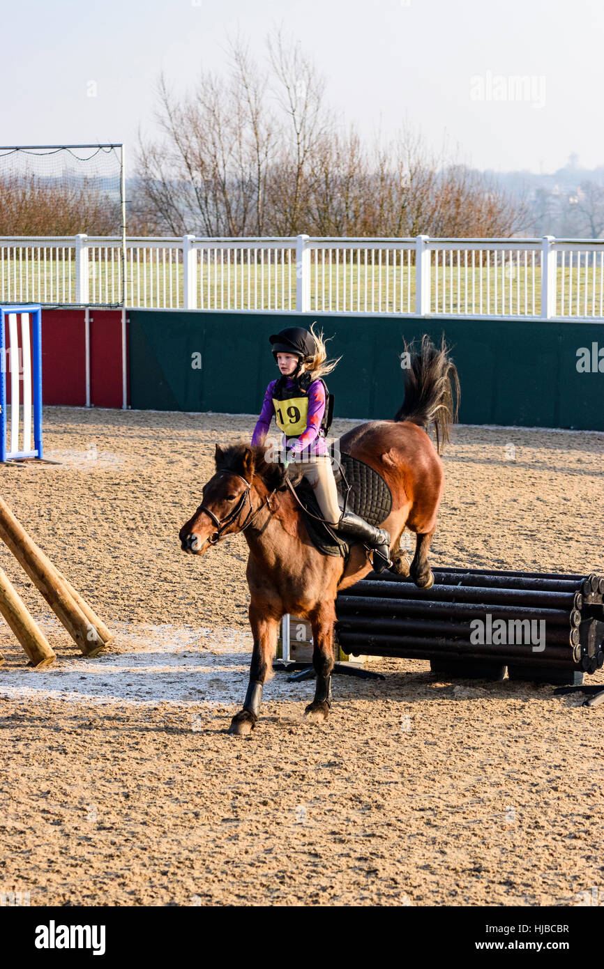 Female rider on her horse mid jump over a fence at a competition Stock Photo Alamy