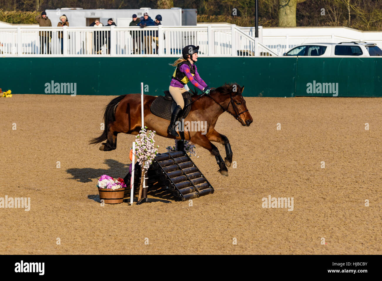 Horse jumping over fence hires stock photography and images Alamy
