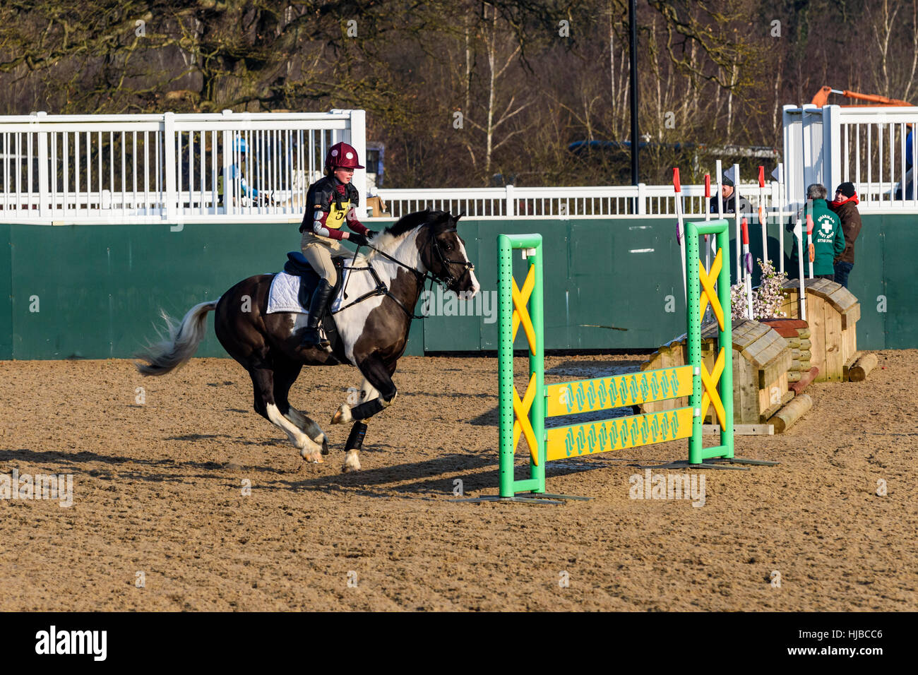 Female rider on her horse approaching a fence at a competition. Stock Photo