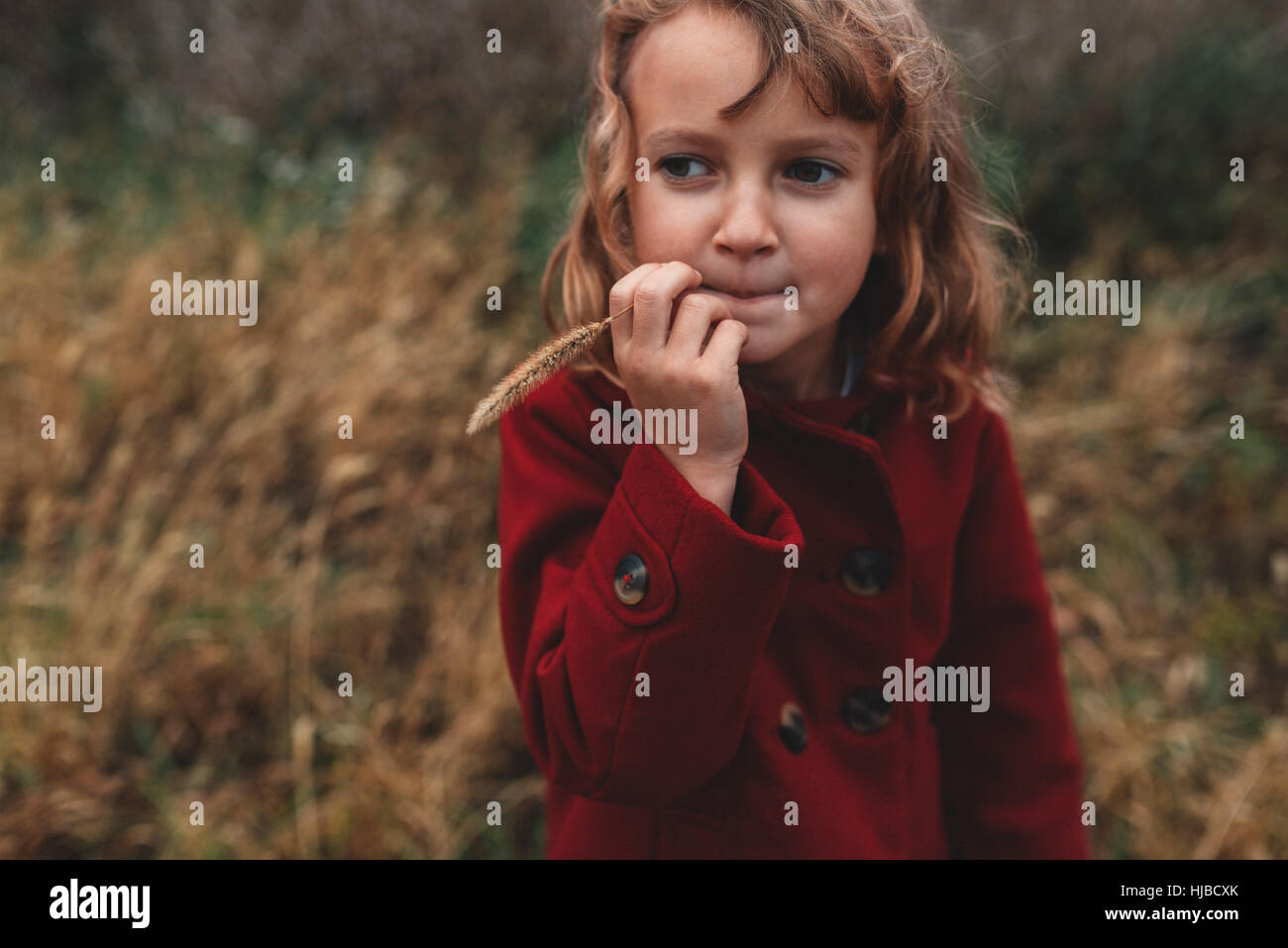 Portrait of girl chewing long grass in field Stock Photo