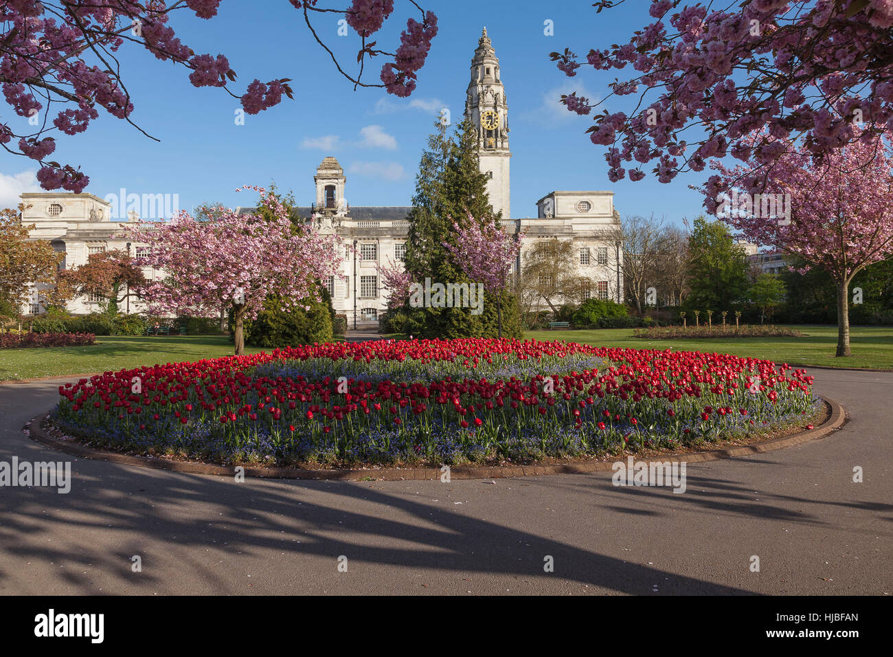 Cardiff City Hall and clock tower from Alexandra Gardens. Stock Photo