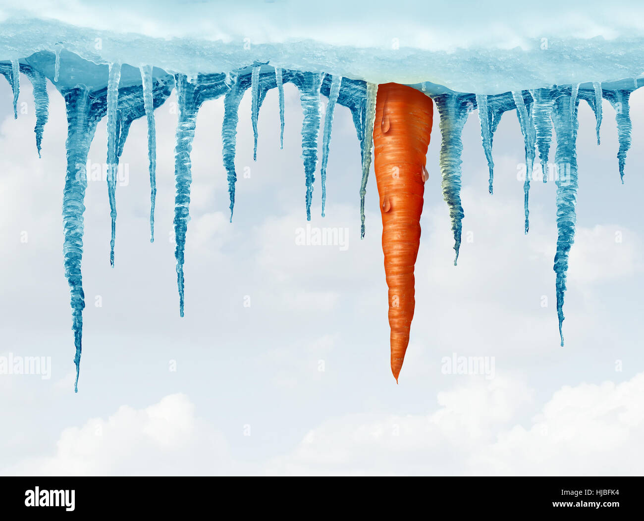 Winter diet concept and preserving and storing fresh crisp vegetables symbol as a carrot hanging from a group of frozen icicles as a food freshness id Stock Photo