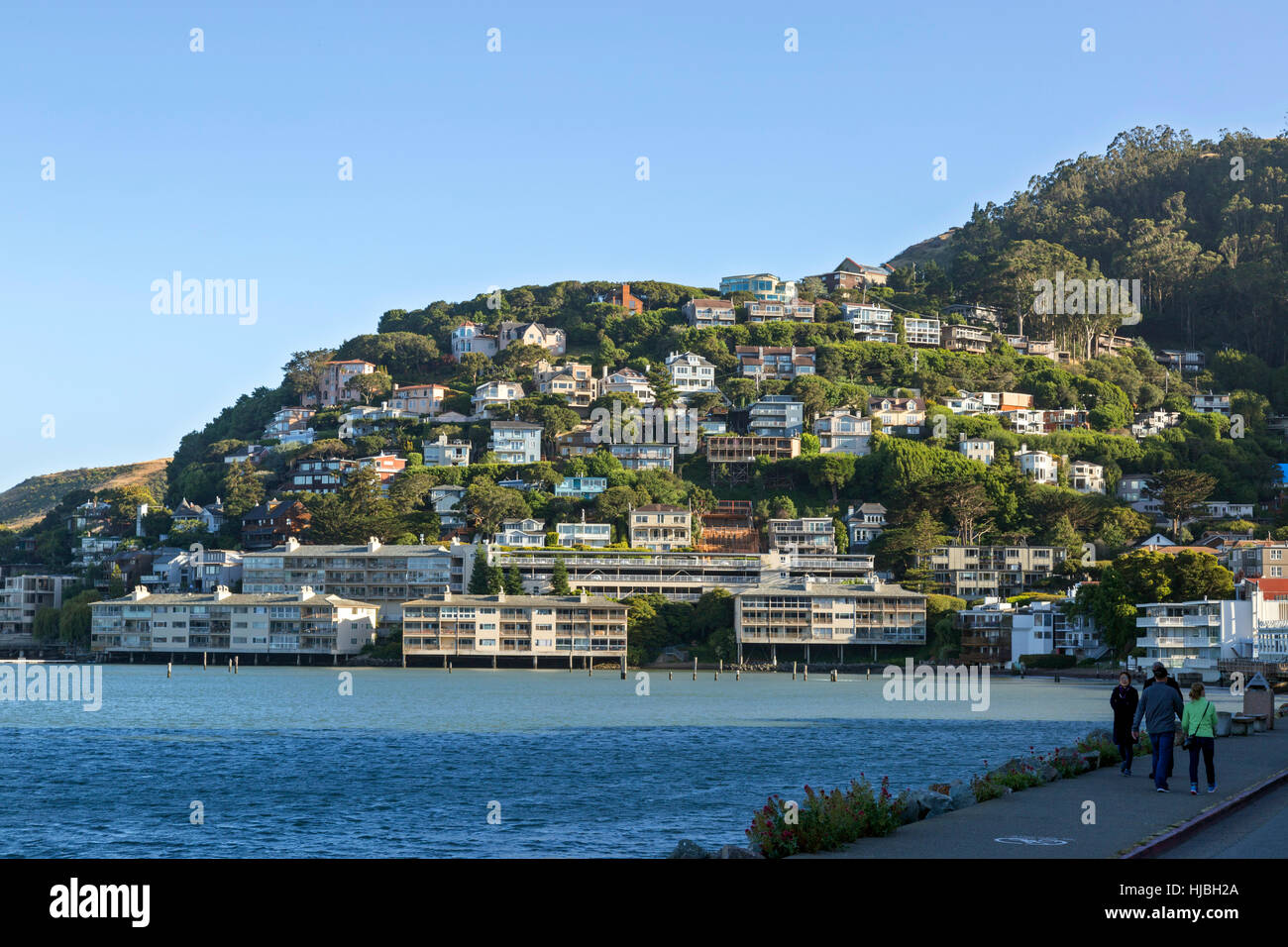 Homes on a hillside on the bay of Sausalito California Stock Photo Alamy