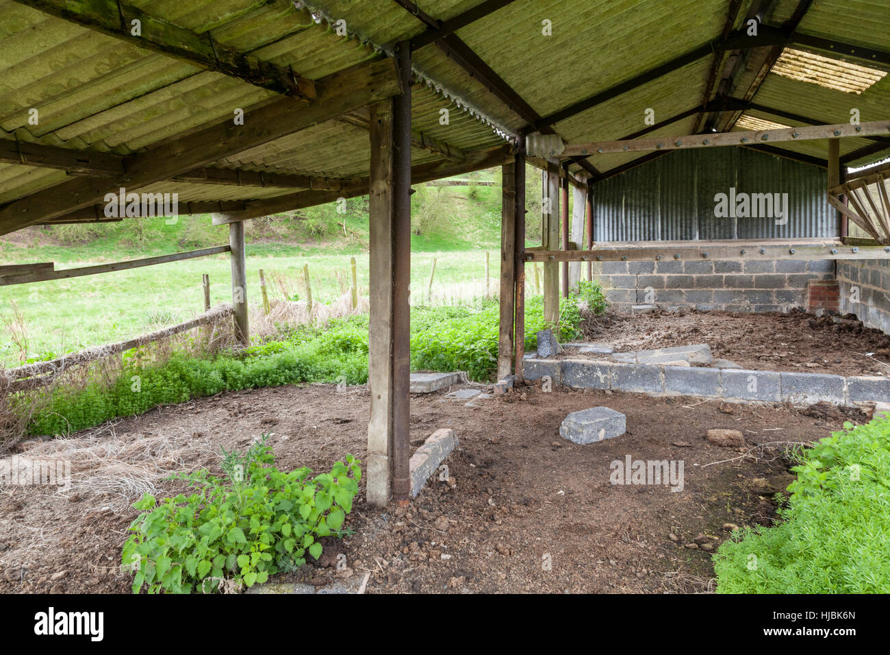 Abandoned farm shed with an asbestos roof, Derbyshire, England, UK Stock Photo