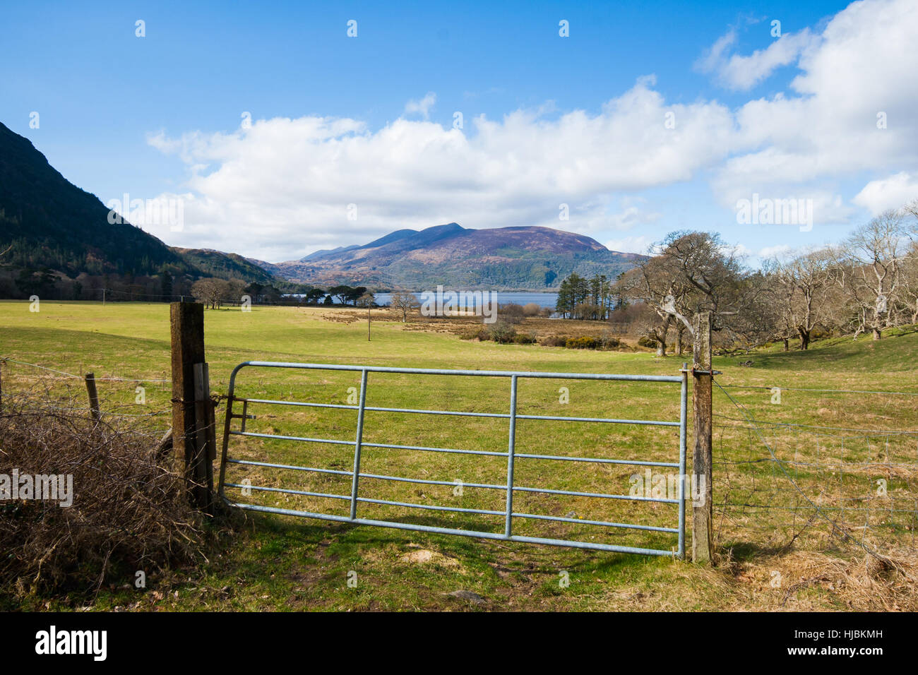 The gardens surrounding Muckross house in Kerry, Ireland Stock Photo