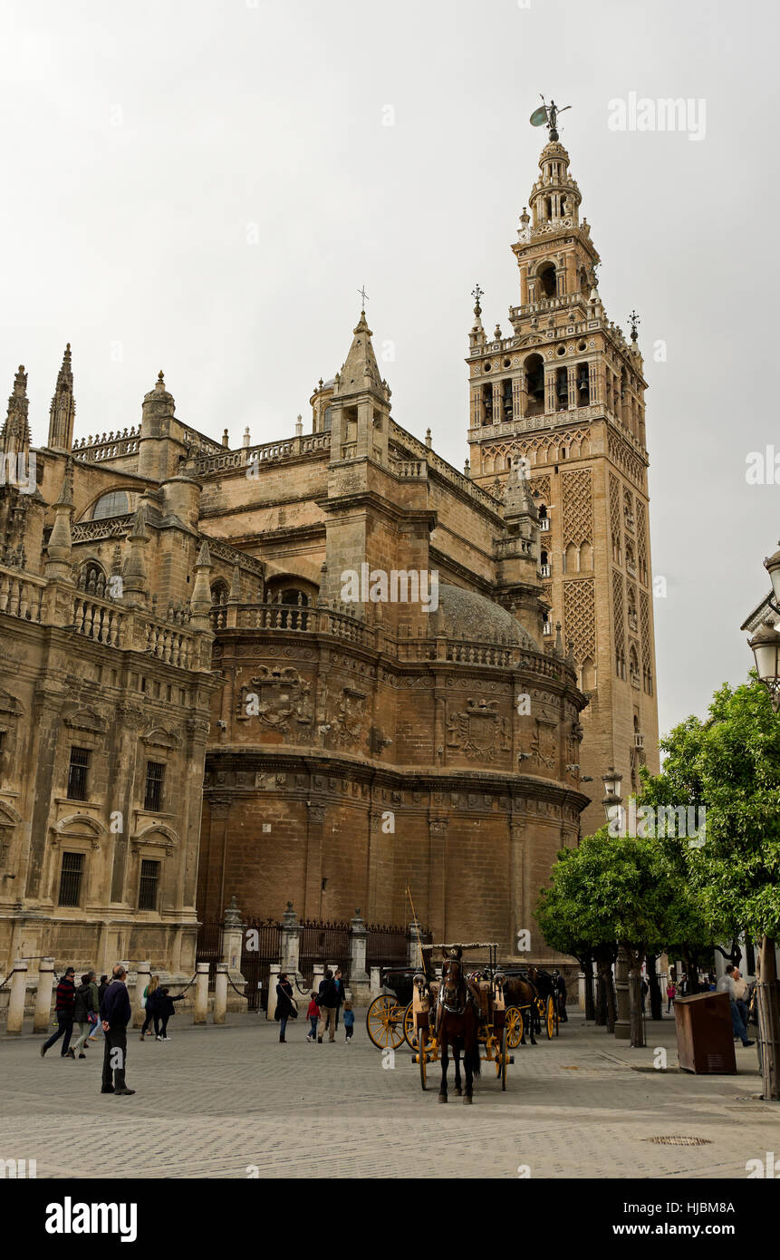 Horse-drawn carriage makes its way down the street past the cathedral and La Giralda tower Stock Photo