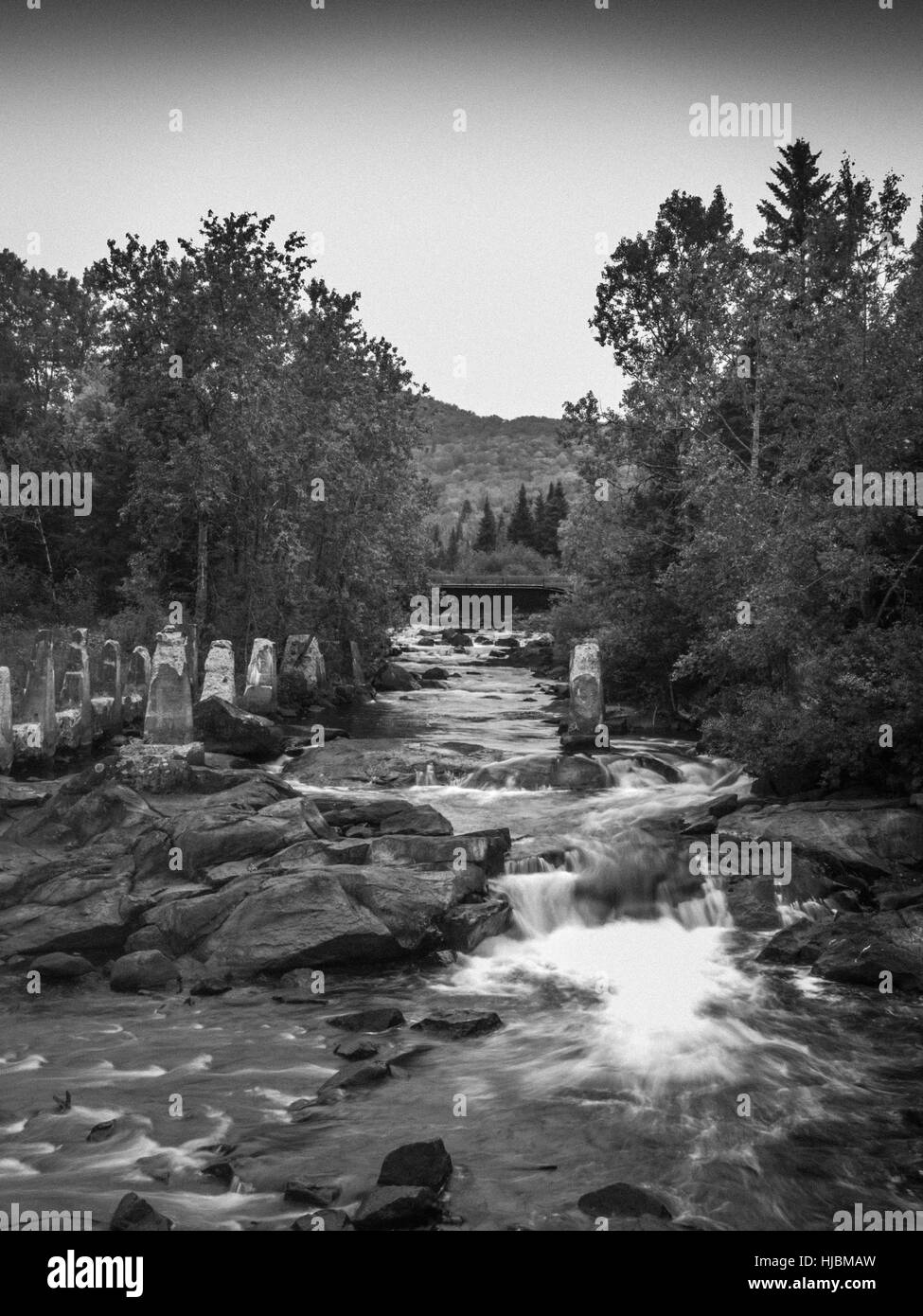 Autumn fall colors in Black and White …
