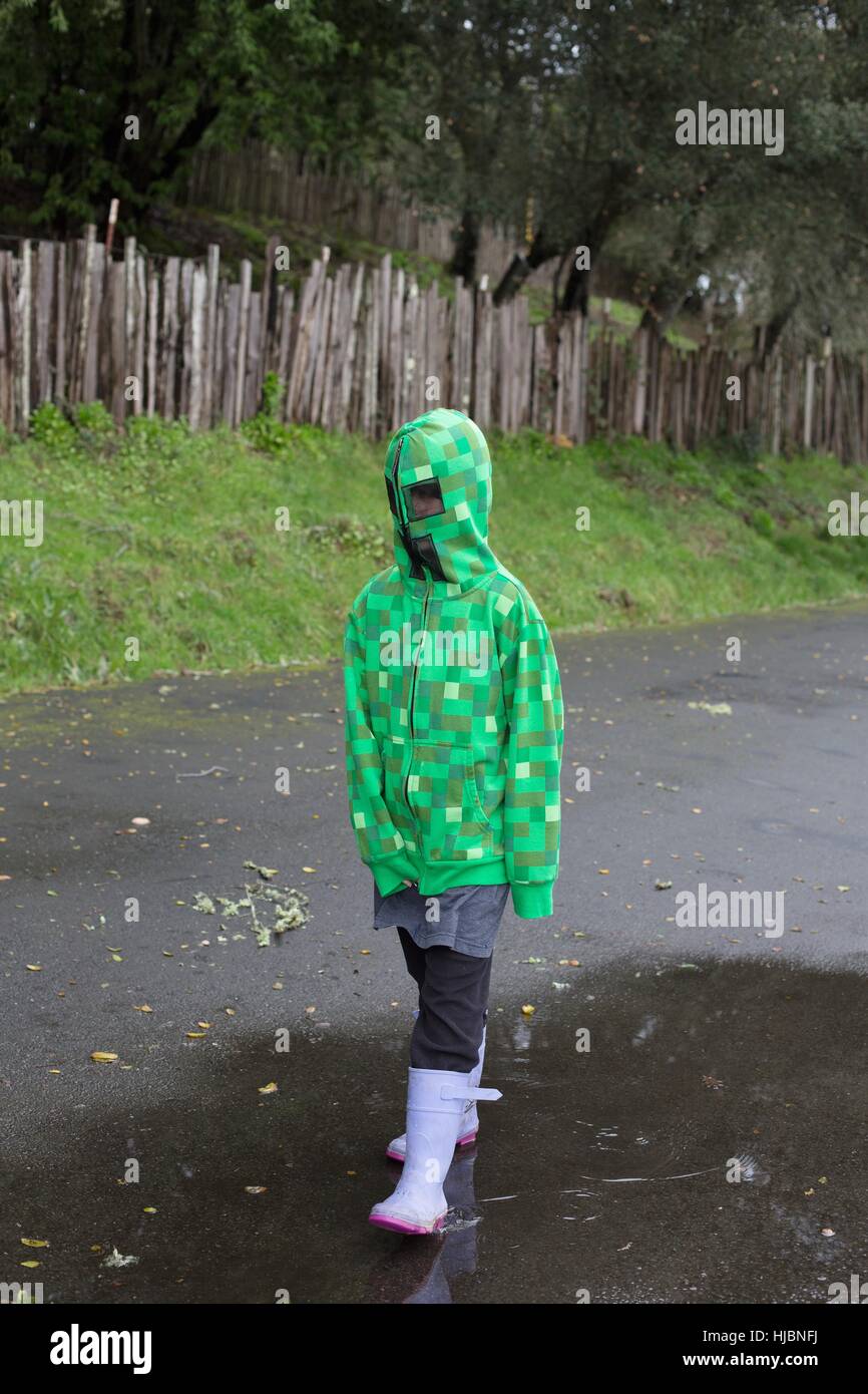 Minecraft creeper hi-res stock photography and images - Alamy