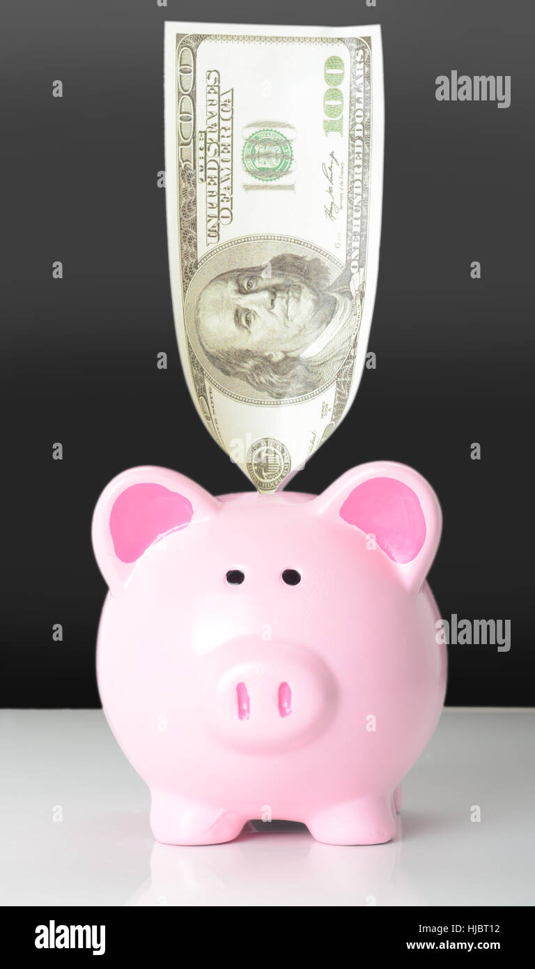 Piggy bank with a 100 dollar bill Stock Photo