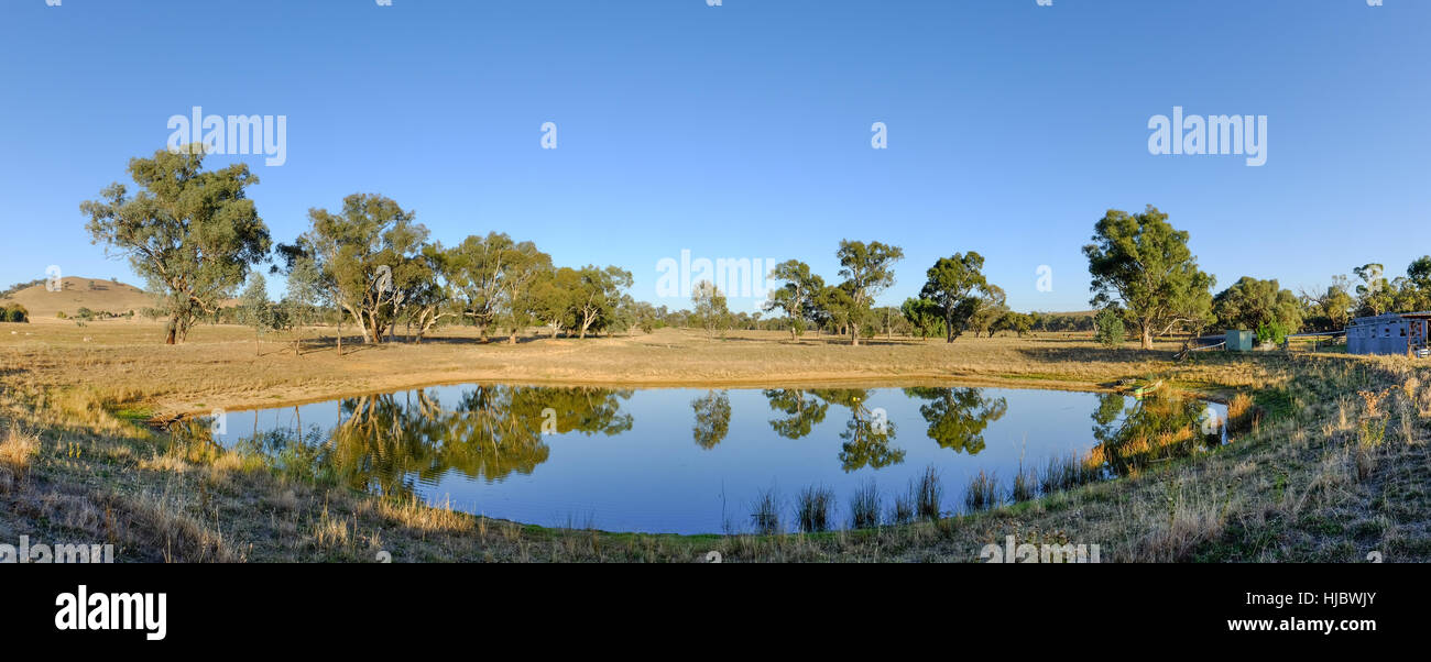 Farm dam in early morning with trees reflected in an idyllic rural
