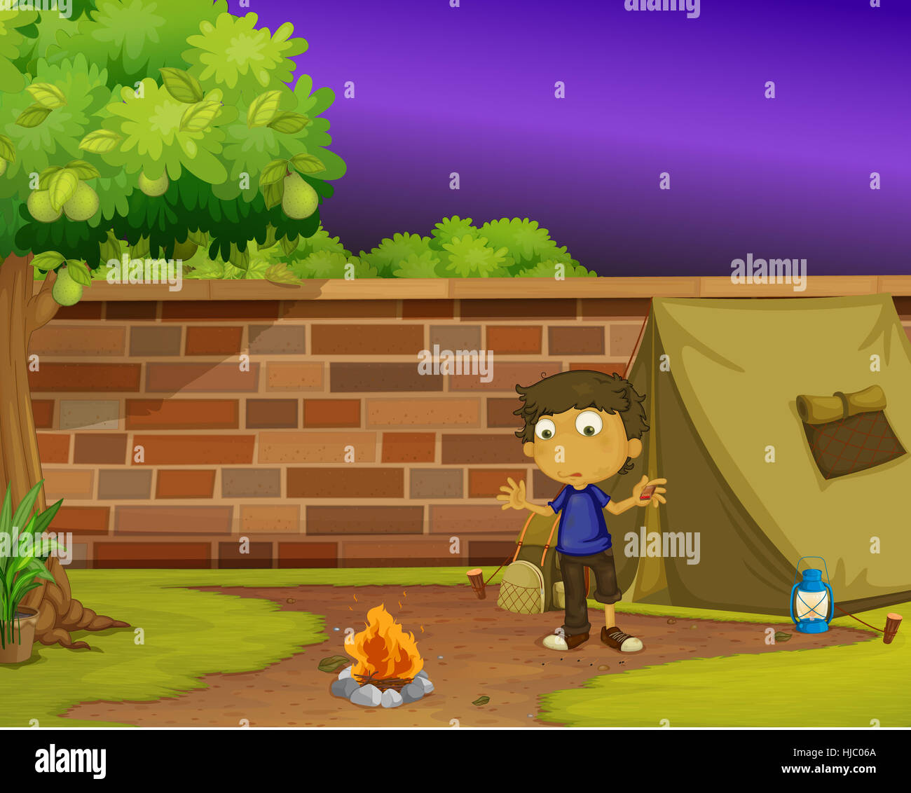 house, building, tree, trees, garden, ground, soil, earth, humus, night ...