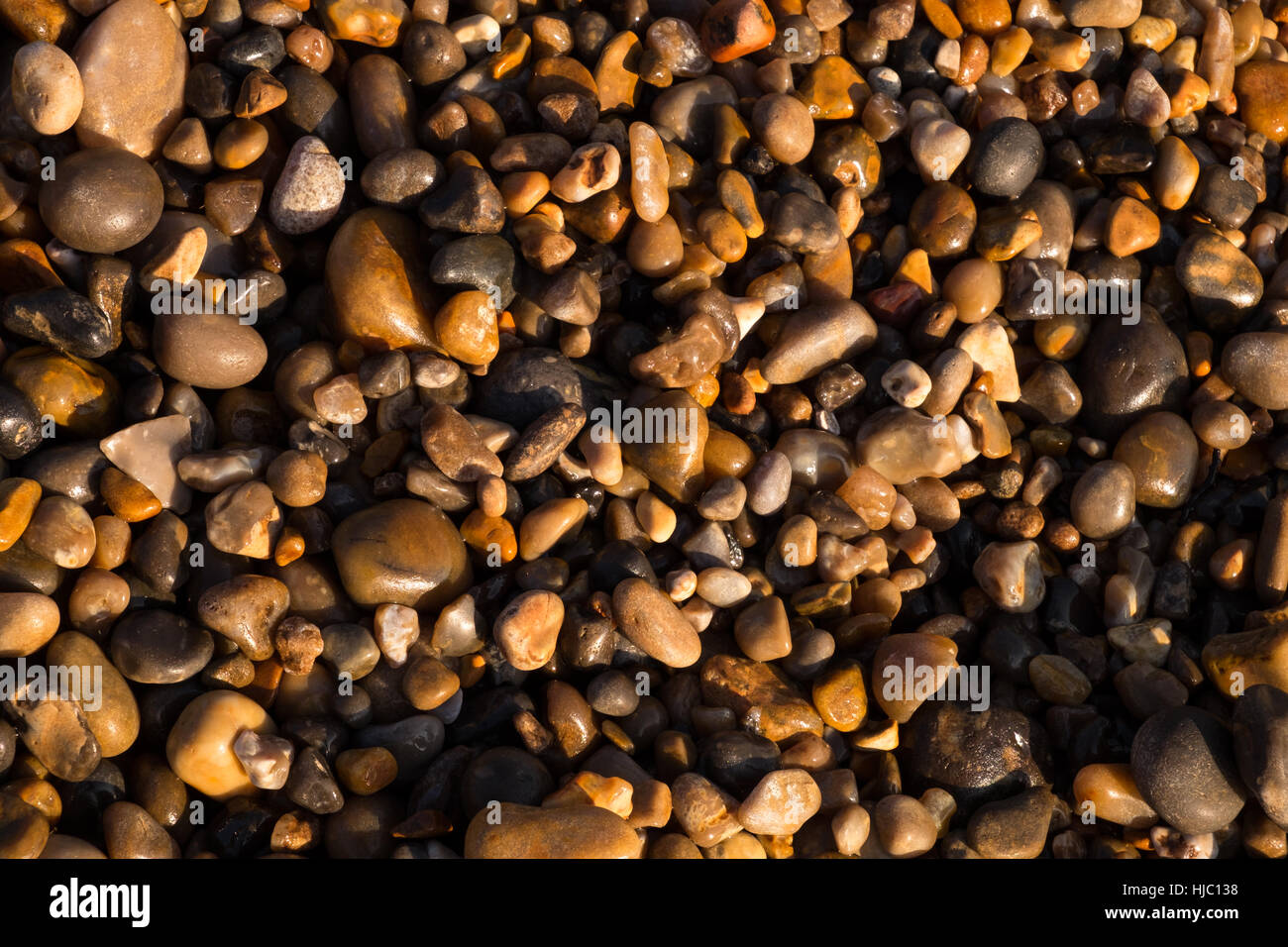 Sunlit beach pebbles Stock Photo