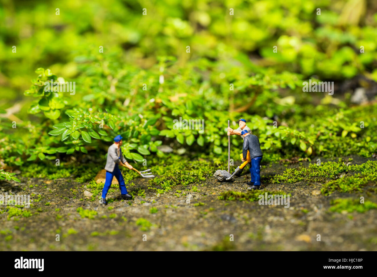 Carié hi-res stock photography and images - Alamy