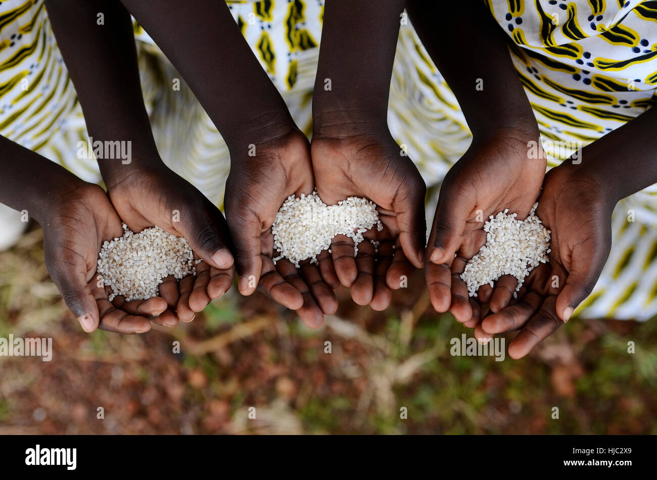 Group of African Black Children Holding Rice Malnutrition Starvation Hunger. Starving Hunger Symbol. Black African girls holding rice as a malnutritio Stock Photo