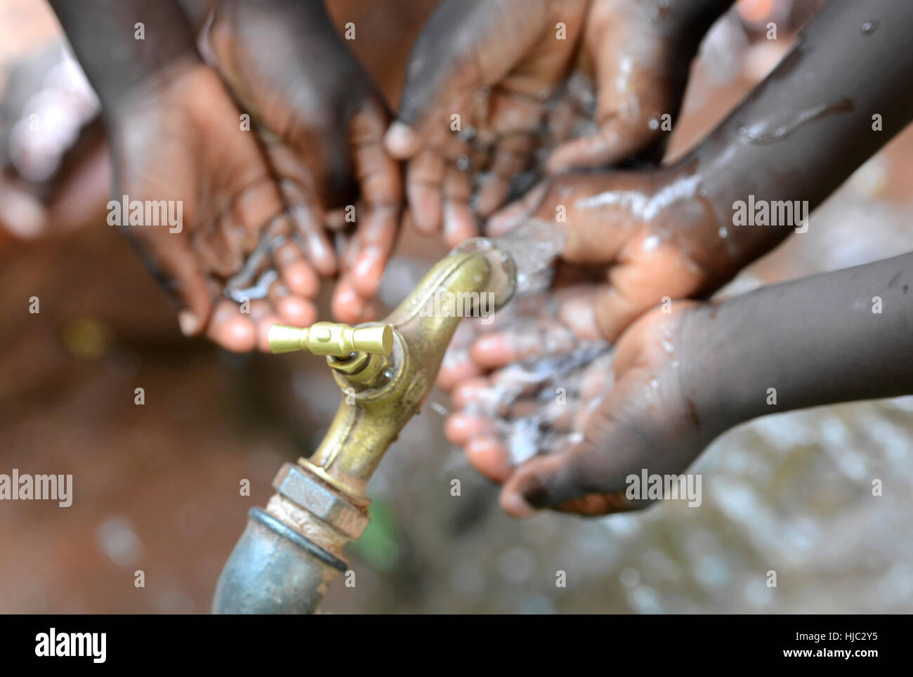 Hands of African Children Cupped under Tap Drinking Water Malnutrition. Hands of African black boys and girls with water pouring from a tap. It affect Stock Photo