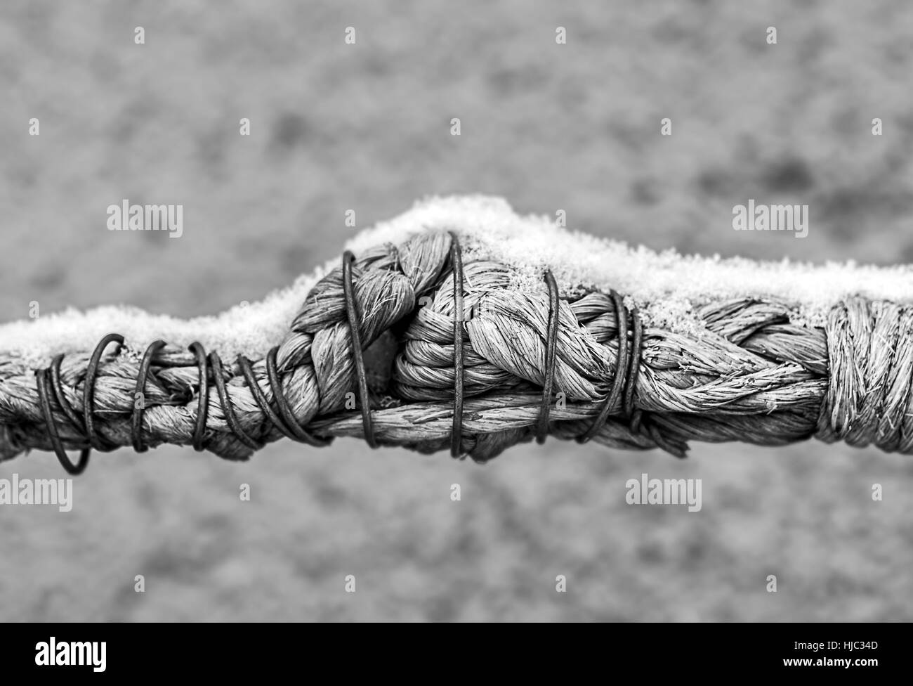 Rope strengthened with wire. Stock Photo