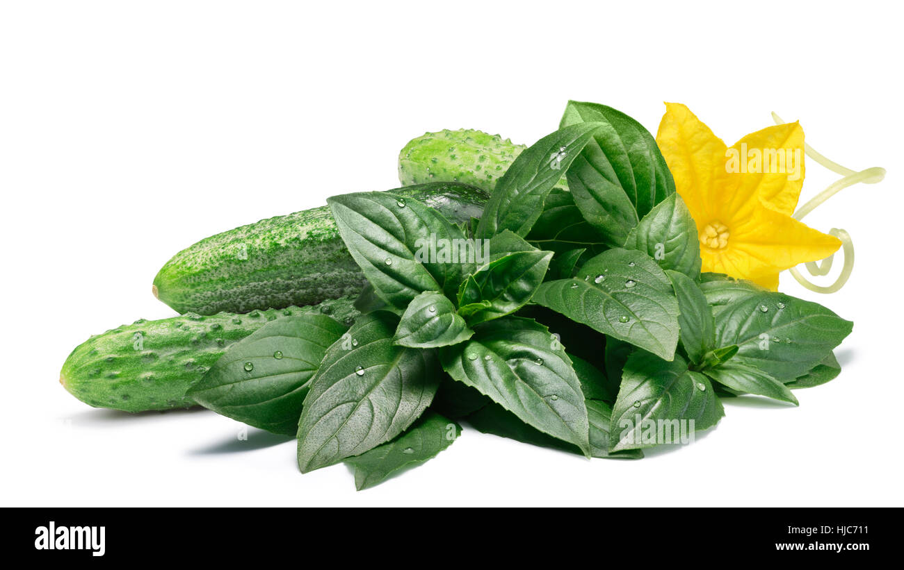 Cornichons hires stock photography and images Alamy