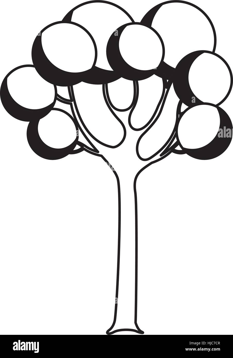 tree plant isolated icon vector illustration design Stock Vector Image ...
