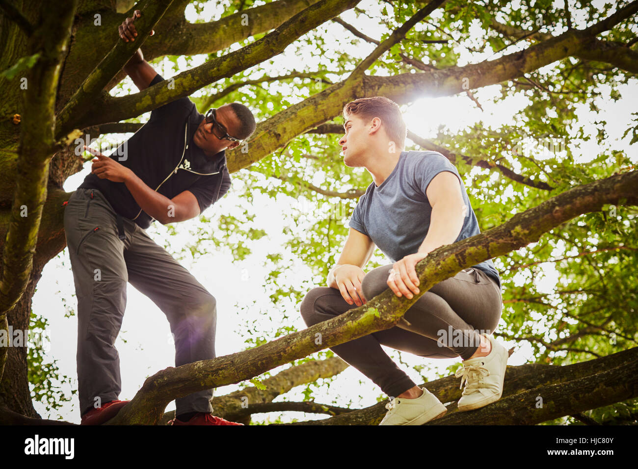 Man with personal trainer instructing how to climb tree in park Stock Photo