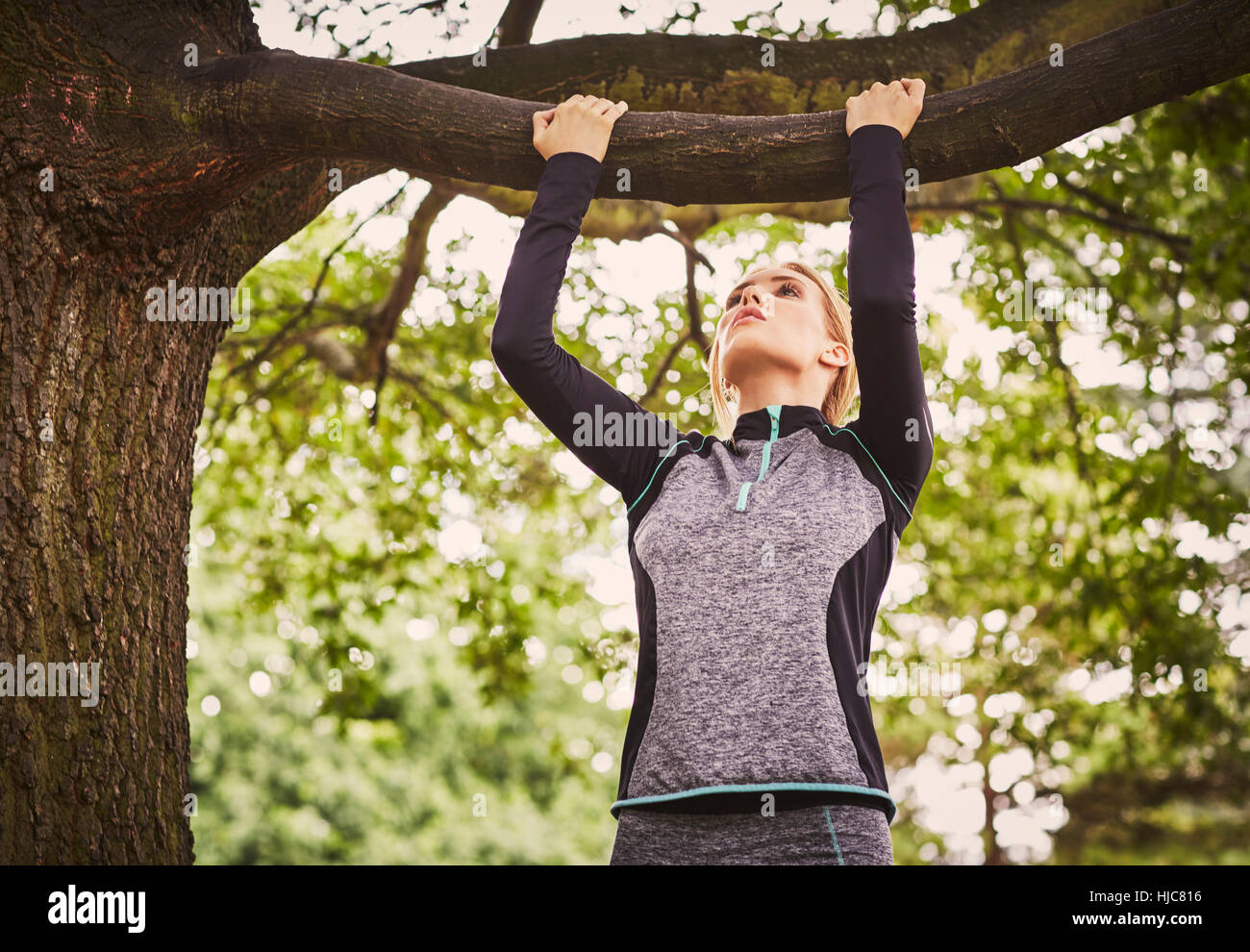 Pull ups tree hi res stock photography and images Alamy