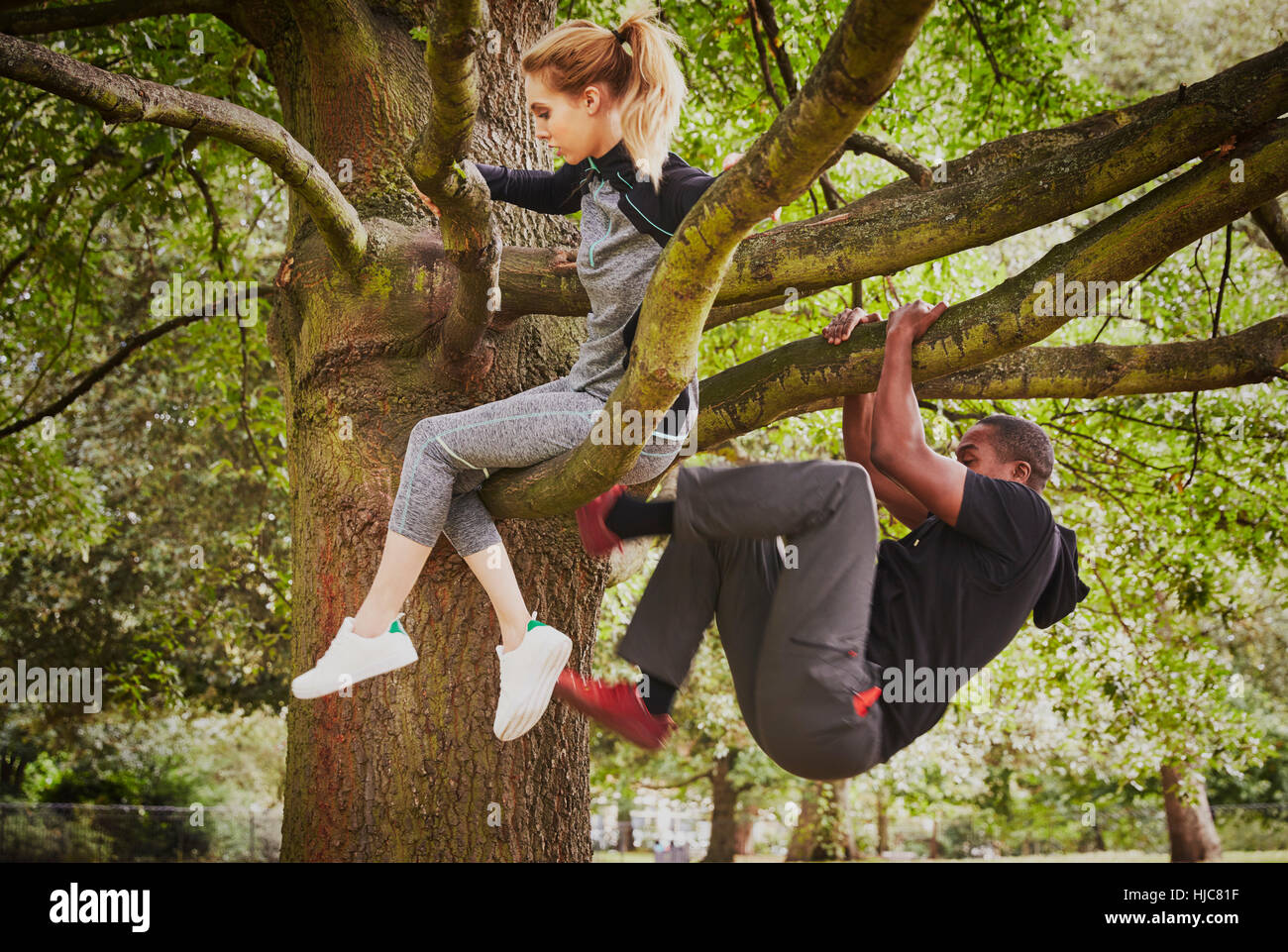 Personal trainer and young woman climbing up park tree Stock Photo - Alamy