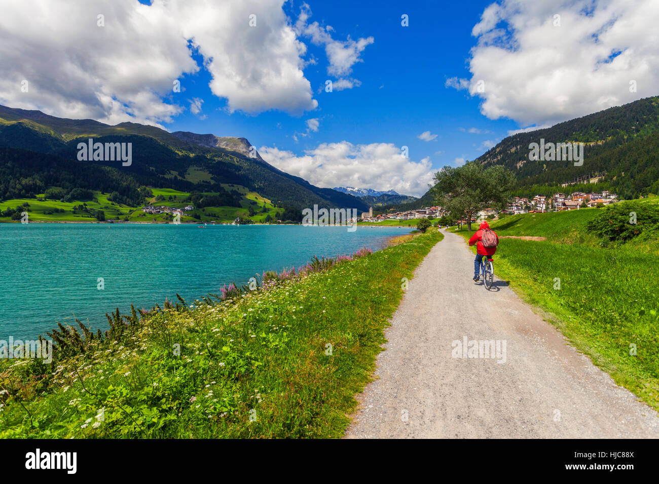 Rear view of senior man cycling by lake in Vinschgau Valley, South Tyrol, Italy Stock Photo