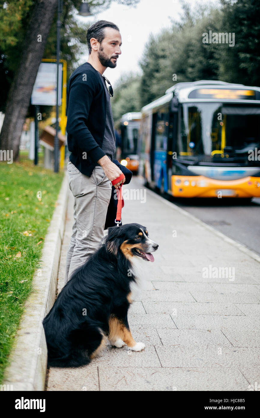 Do Dogs Go Free On Buses