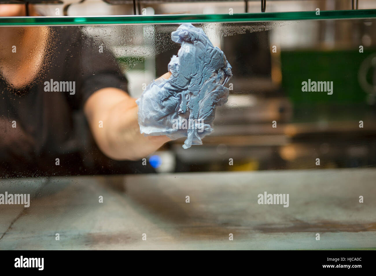 Woman's hand cleaning display case glass in cafe Stock Photo