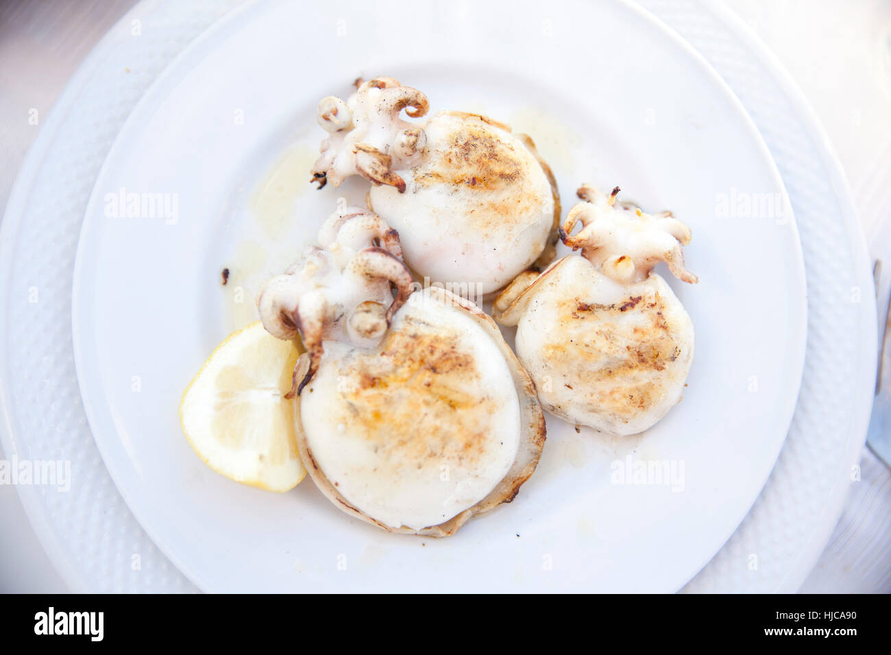 Plate of grilled cuttle fish Stock Photo