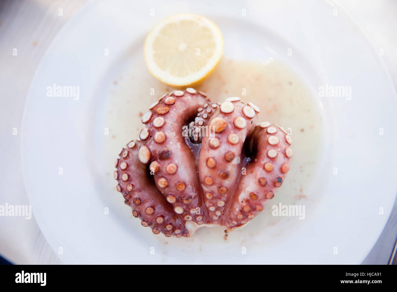 Plate of grilled octopus Stock Photo
