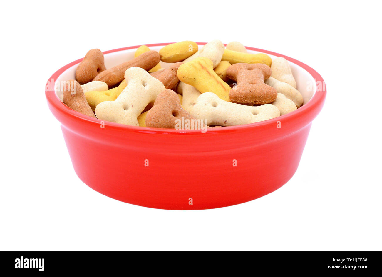 Dry bone-shaped dog biscuits in a red pet food bowl, isolated on a white background Stock Photo