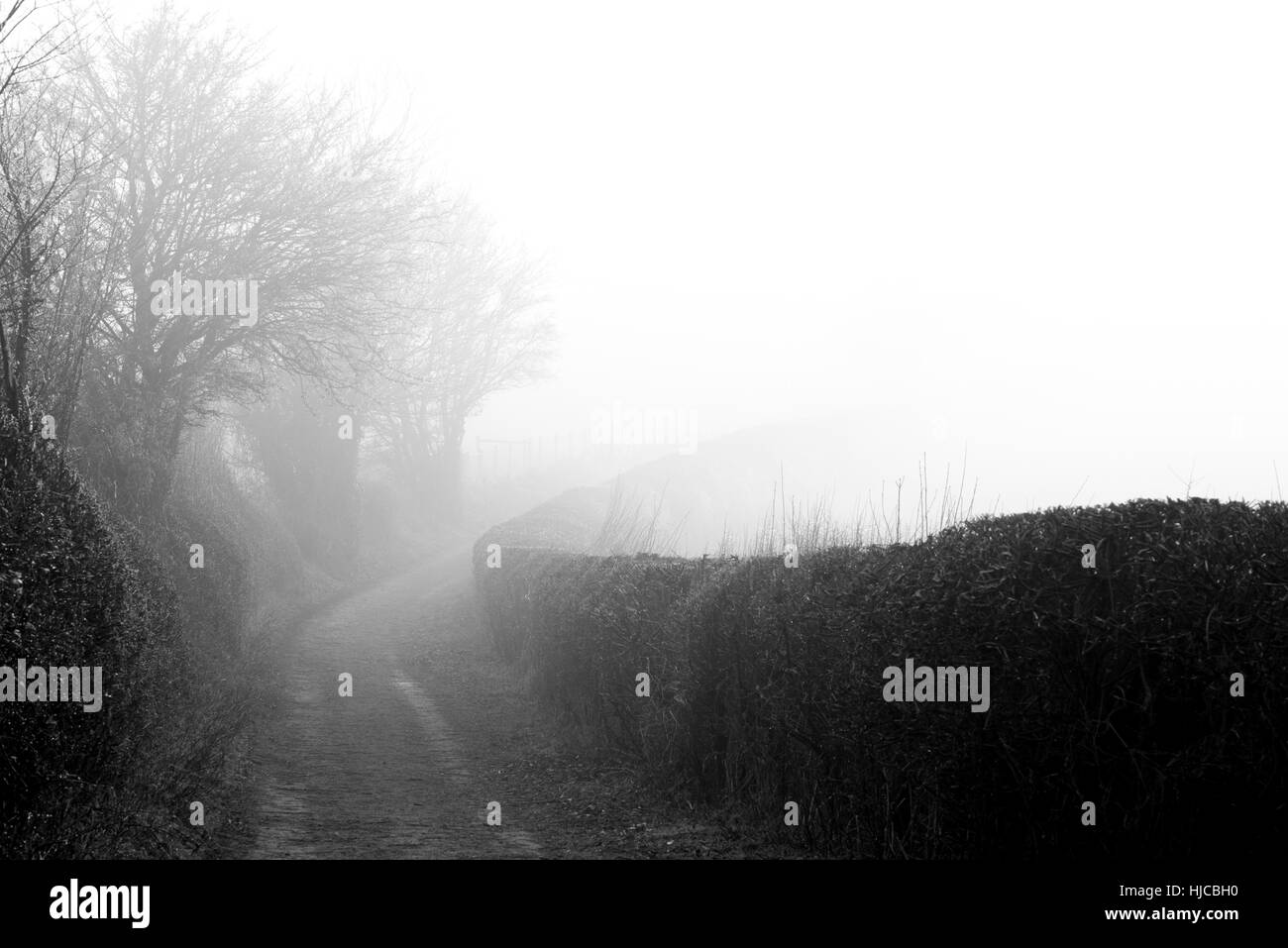 Country road at fog Black and White Stock Photos & Images - Alamy