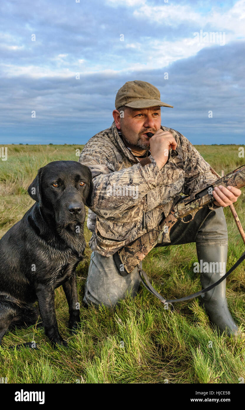 A wildfowler, or duck hunter, with his dog on the Lincolnshire marsh blowing into a duck call Stock Photo