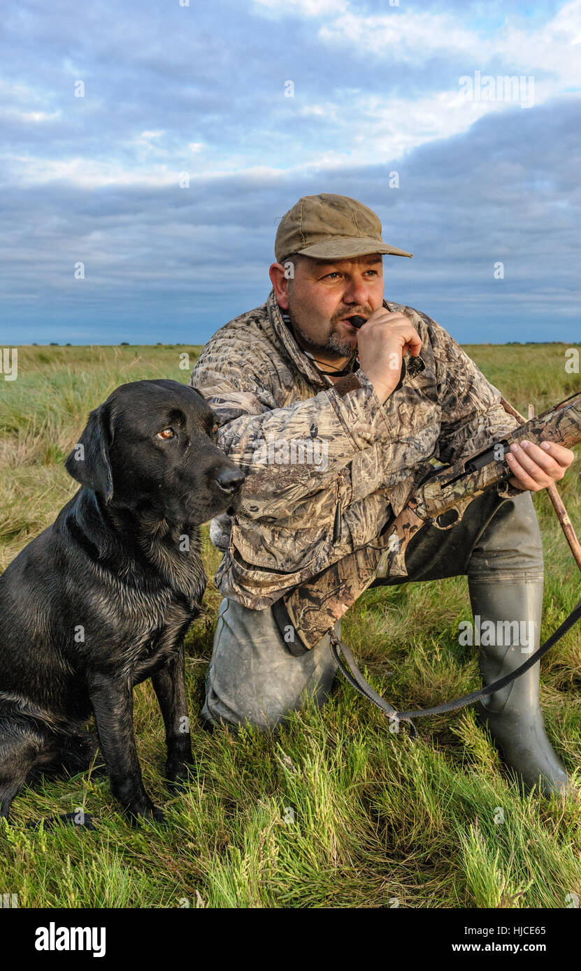 A wildfowler, or duck hunter, with his dog on the Lincolnshire marsh blowing into a duck call Stock Photo