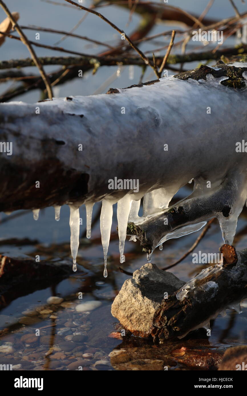 Eiszapfen an einem Baumstamm im Wasser Stock Photo