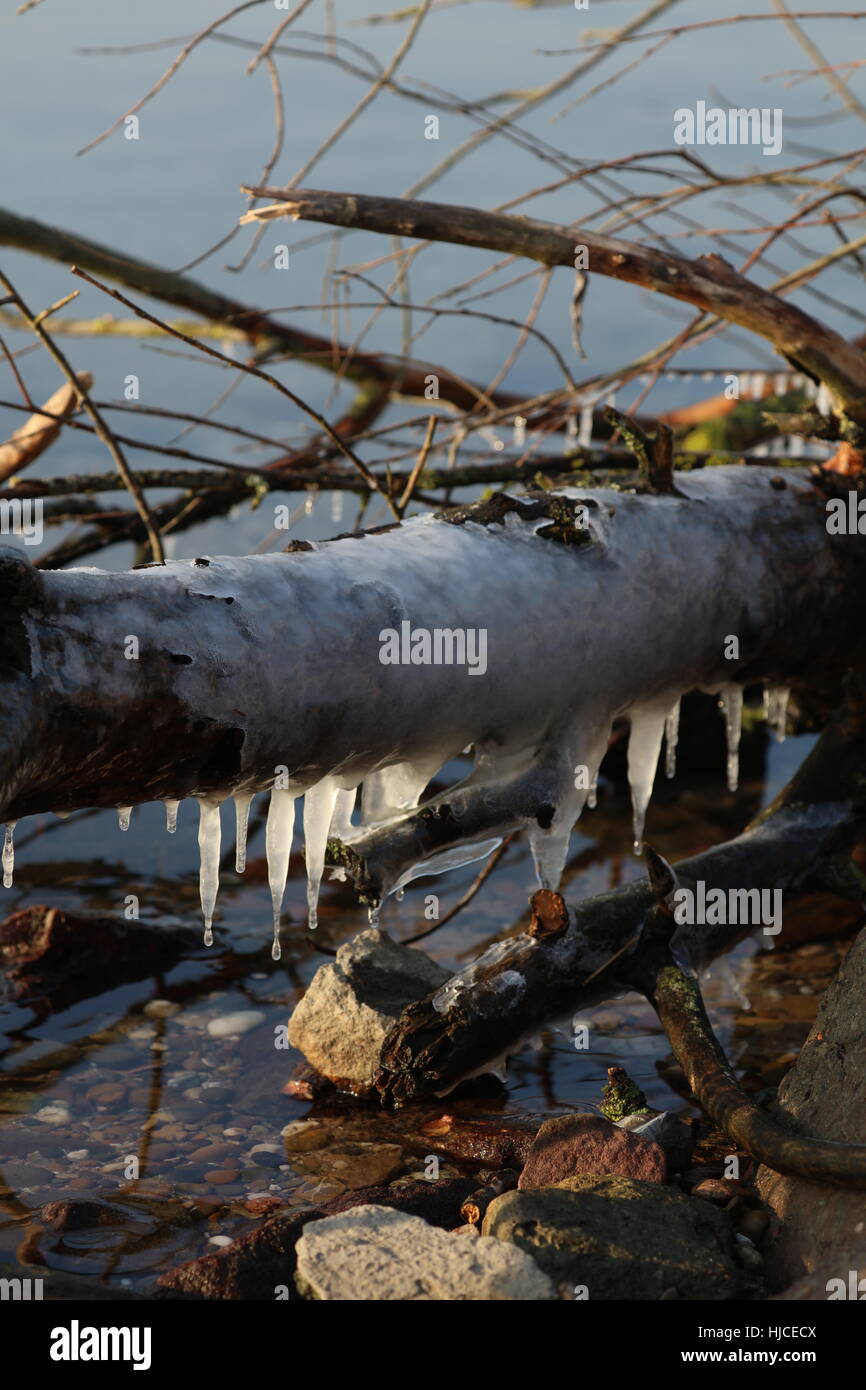 Eiszapfen an einem Baumstamm im Wasser Stock Photo