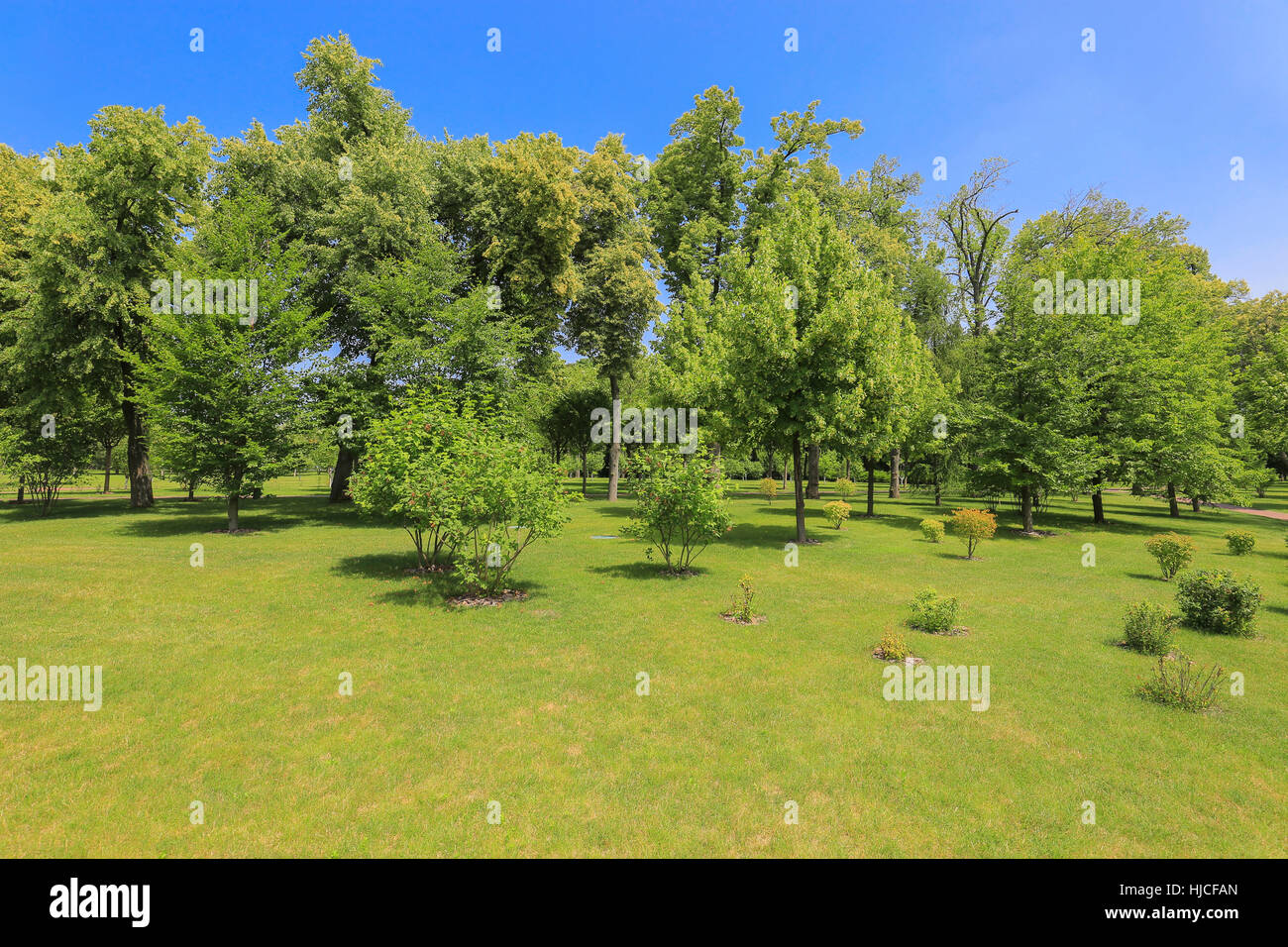 Tree landscaping hi-res stock photography and images - Alamy