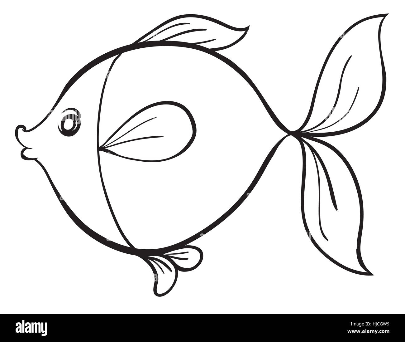 https://c8.alamy.com/comp/HJCGW9/detailed-illustration-of-a-fish-line-art-on-white-HJCGW9.jpg
